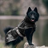 Su geçirmez köpek yağmurluğu (siyah, 55cm/22 inch)