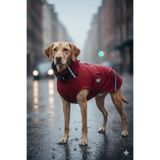 Su Geçirmez Softshell Köpek Yağmurluğu – Ayarlanabilir Boyun/Göğüs, Tasma Fermuar Açıklıklı (4)