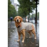 Su Geçirmez Softshell Köpek Yağmurluğu – Ayarlanabilir Boyun/Göğüs, Tasma Fermuar Açıklıklı (6)