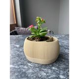 Su Hazneli Dekoratif Modern Saksı - Bej