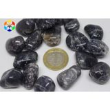 Su Safiri (İyolit) Taşı Tamburlanmış (8-9gram)