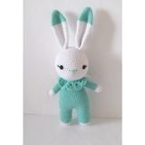 Su Yeşili Miniş Tavşan Uyku Arkadaşı Amigurumi Organik Oyuncak