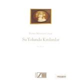 SU YOLUNDA KIRILANLAR - FATMA MANSUR COŞAR