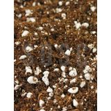 SUBSTRAT LIGHT MIX Ithal Sphangum Torfu Cocopeat Perlit Özel Karışım Saksı Harcı Çiçek Ve Bitki Toprağı 5 LT