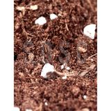 Substrat Mix Ithal Torf Cocopeat Perlit Özel Karışım Saksı Harcı Çiçek ve Bitki Toprağı 1 - Çok Renkli