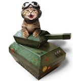 SUCK UK Kedi oyun evi | Yeni karton kedi tankı | kedi oyuncağı ve aksesuar | düz paketlenmiş ve kolay monte edilir