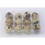 Sude Hayvancılık Japon Bıldırcın Yumurtası Kuluçklık 5 Paket x 12 60 Adet