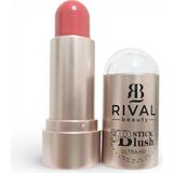 Sudedi Home Rival Beauty 3D Stick Blush Ultra Hd Krem Allık Stick Doğal Canlı Görünüm - Kahverengi