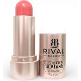 Sudedi Home Rival Beauty 3D Stick Blush Ultra Hd Krem Allık Stick Doğal Canlı Renk 101 - Açık Kahverengi
