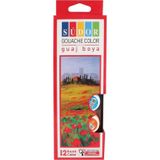Sudor Guaj Boya 12*20 Ml Sd525