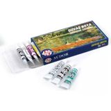 Südor Guaj Boya Set 10X8.5 Ml Sd572