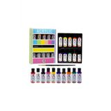 Südor Monalisa Akrilik Boya 10 Renk X 40 Ml ( Fırça Hediyeli)-1
