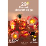 Suled Plumeria Çiçeği Dekoratif LED Işık Ambiyans Ortam Aydınlatması ve Süsleme Ledleri