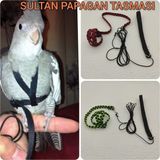 Sultan Papagan Gezdirme Tasmasi