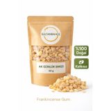 sultanbahçe Akgünlük Sakızı 60 gr | Günlük Bitkisi | Ak Günlük | Doğal Ağaç Reçinesi