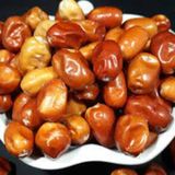 Sultani İri Iğde Fidanı Aşılı 80-100 Cm Tüplü