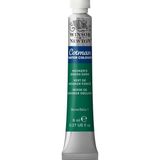 Sulu Boya 8ml Hooker's Green Dark 312