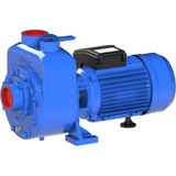 Sumak DSM300/2 3 Hp Kendinden Klapeli Santrifüj Pompa 220V
