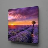 Sümbül Tarlası Kanvas Tablo 90x90cm