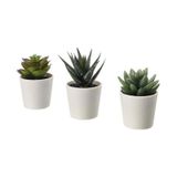 Sumuhome Fejka Saksılı Yapay Bitki Kaktüs 6 Cm 3 Adet