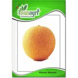 Sunagri Ananas Kavun Meyve Tohumu