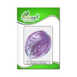 Sunagri Tohumculuk Kırmız Lahana Zencibaş Tohumu 5 gr ( Ata Tohum )