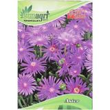 Sunagri Tohumculuk Sunagri Aster Süs Çiçek Tohumu