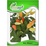 Sunagri Tohumculuk Sunagri Sebze Turşuluk Süs Biber Tohumu