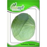 Sunagri Yalova Lahana Tohumu