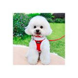 Sunbell Peluş Köpek Göğüs Tasması Seti – Yumuşak Kedi Köpek Tasma, Gezdirme İpi ve Boyun Tasması Seti 034