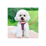 Sunbell Peluş Köpek Göğüs Tasması Seti – Yumuşak Kedi Köpek Tasma, Gezdirme İpi ve Boyun Tasması Seti