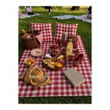 SUNDOKU HOME Pötikare Desenli Piknik Seti 2 Adet 40x40 cm Minder + 160X160 cm Piknik Örtüsü