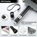 Sungur's Store Fithome 100MW Desen Başlıklı USB Şarjlı Yeşil Lazer Pointer