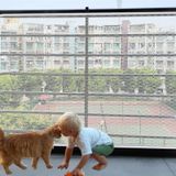 sunjoy castle Korkuluk Koruması-3,0 m x 0,9 m Kalın Balkon Güvenlik Ağı Çocuklar için Evcil Hayvan Balkon Koruması Balkon Ağı Balkon Apartmanı için Kedi Ağı Korkuluklar için Güvenlik Ağı Merdiven Korumaları (Beyaz)