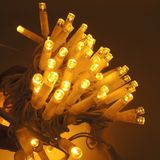 Sunlight Ip Led Aydınlatma 10m Yılbaşı Ağaç Işığı 100l Dış Mekan Amber