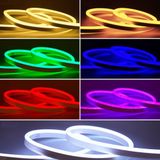 Sunlight Neon 12V Hortum Şerit Led 2/5/10 Metre Renkli Işık (Mavi, 5)