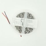 Sunlight Şerit LED 3 Çip 60 LED 12V 5m Trafolu Fişli Tak Çalıştır Gün Işığı