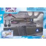 Sunman Newray 1/48 Ölçek P-40 Wwıı Uçak Modeli