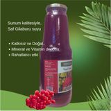 Sunum Gilaburu Nektarı Meyve Suyu 1 Litre Cam Şişe