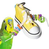 Super Bird Creations SB719 Beaker Sneaker Kuş Oyuncağı, Küçük/Orta Kuş Boyutu, 15,24 cm x 5,08 cm