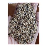 Süper Karışık Kanarya Yemi 1 Kg