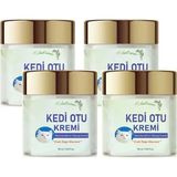 Süper Kedi Otu 50 ml 4 Adet Kafur Ağacı Yağı Içerikli