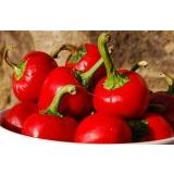 Süper Paket 200 Tohum Nadir Ithal Cherry Kiraz Biberi Tohumu +Süp