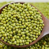 Süper Paket Fasulye Mung Bean Tohumu 100 Tohum+Hediye Tohum