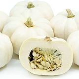 Süper Paket Kestane Kabağı Tohumu Kabak Tohumu 100 Tohum +Hediye