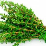 Süper Paket Yerli Aromatik Dağ Kekiği Tohumu 300 Tohum+Hediye Toh