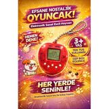 Super Sonic Müzikal Org 32 Tuşlu, Eğitici Oyuncak