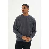 Superlife Süperlife Erkek Gri Bisiklet Yaka Ribanalı Regular Fit Sweatshirt SPR26SWK930 - Antrasit - XL