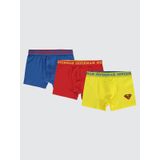 Süperman Erkek Çocuk 3'lü Boxer Set 2-10 Yaş Sarı-8-9 Yaş