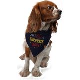 Suprise Kedi Köpek Fuları Pet Bandanası - 2 - Lacivert